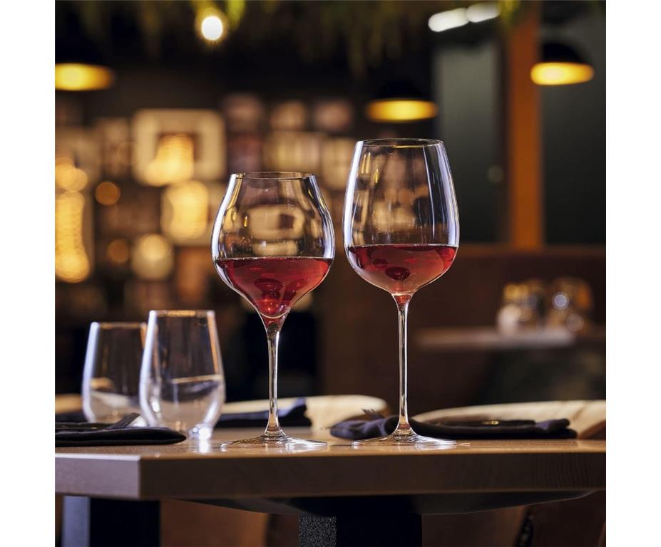 Villeneuve čaše za vino / 47,5cl / 12kom