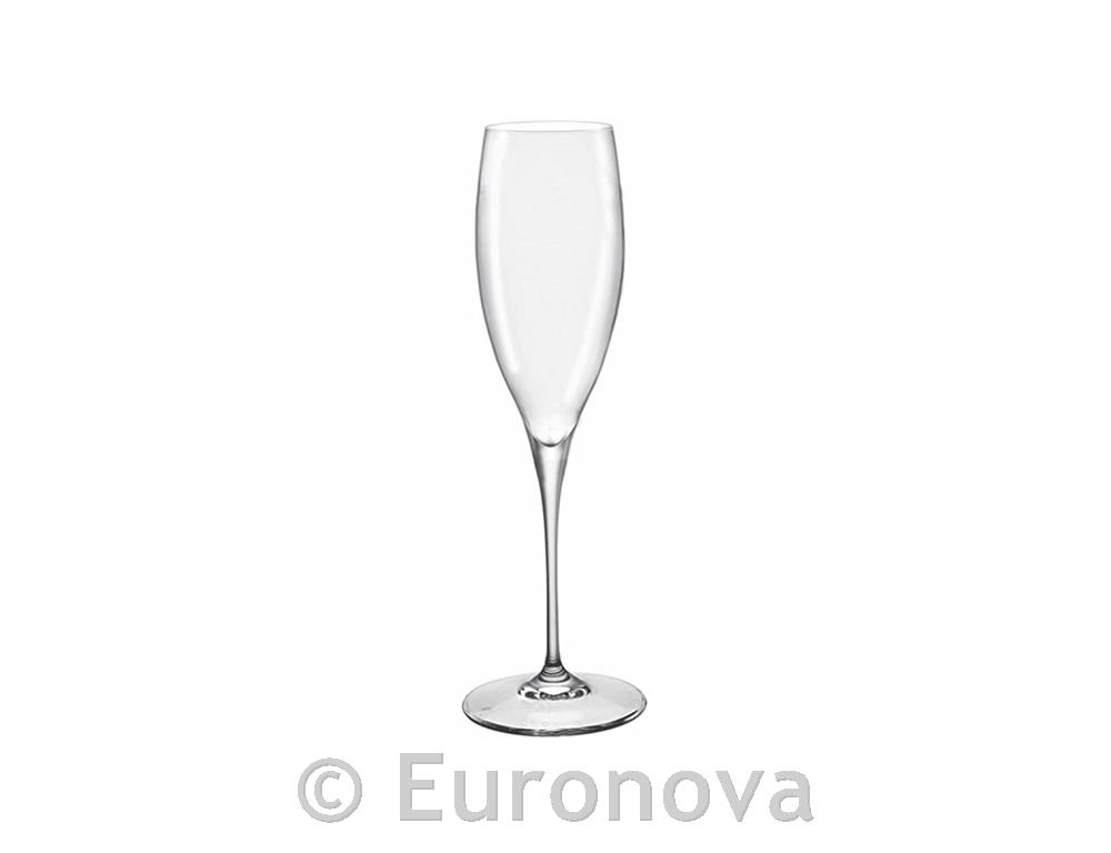 Premium čaša za pjen. / 25cl / 0.1l CE