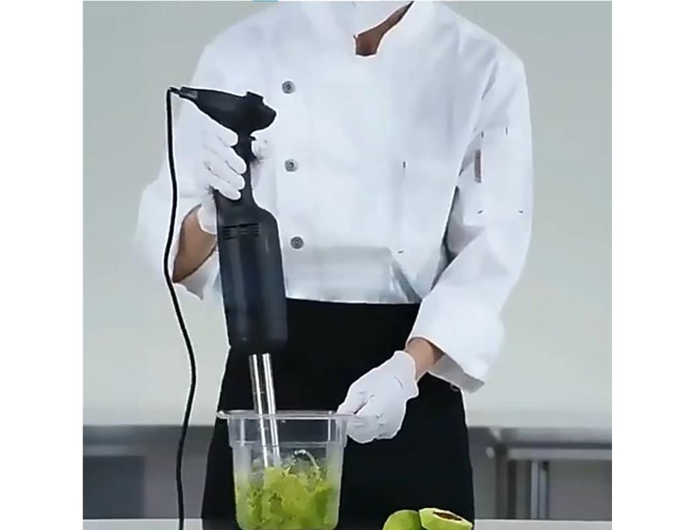 Profesionalni štapni blender / 270W