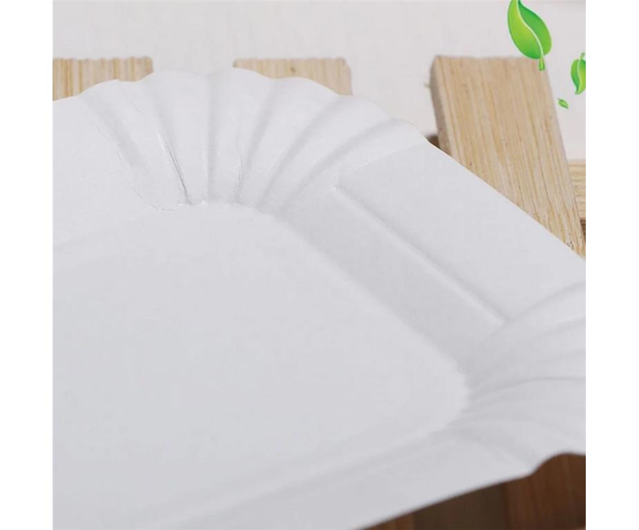 Papirnati tanjur / 20x13cm / 250kom