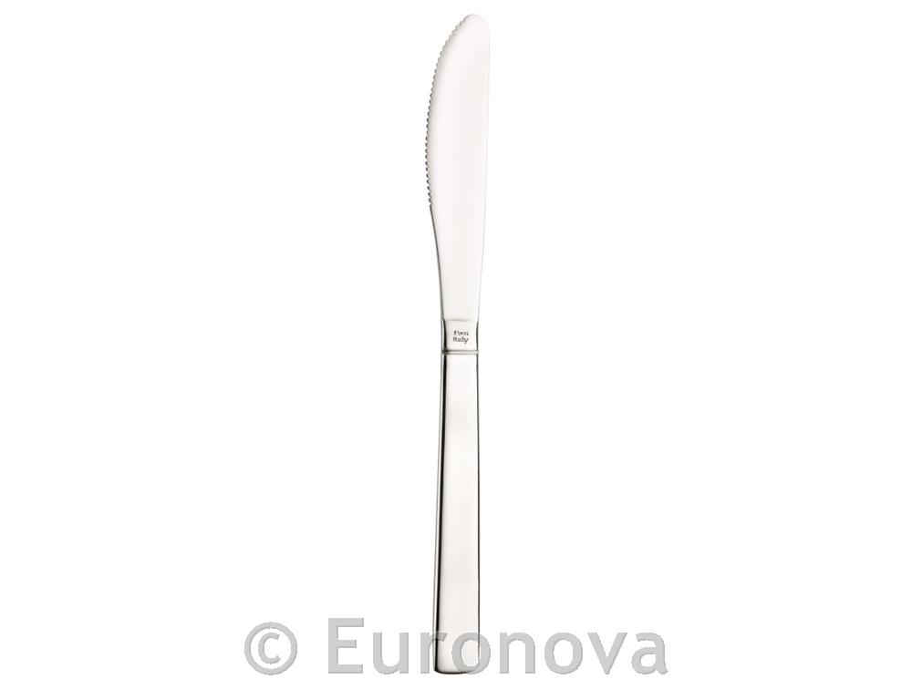 Punto nož / 2mm / 22cm / 12 kom