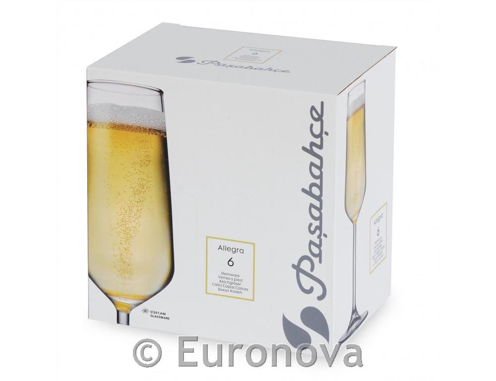 Allegra čaša za pjen. / 19cl / 6kom