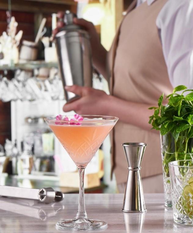 Timeless čaša za martini / 23cl / 12kom