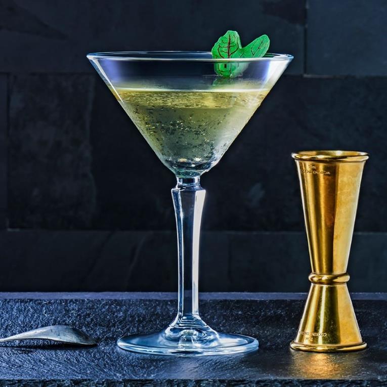 Hudson čaša za martini / 23cl / 6 kom