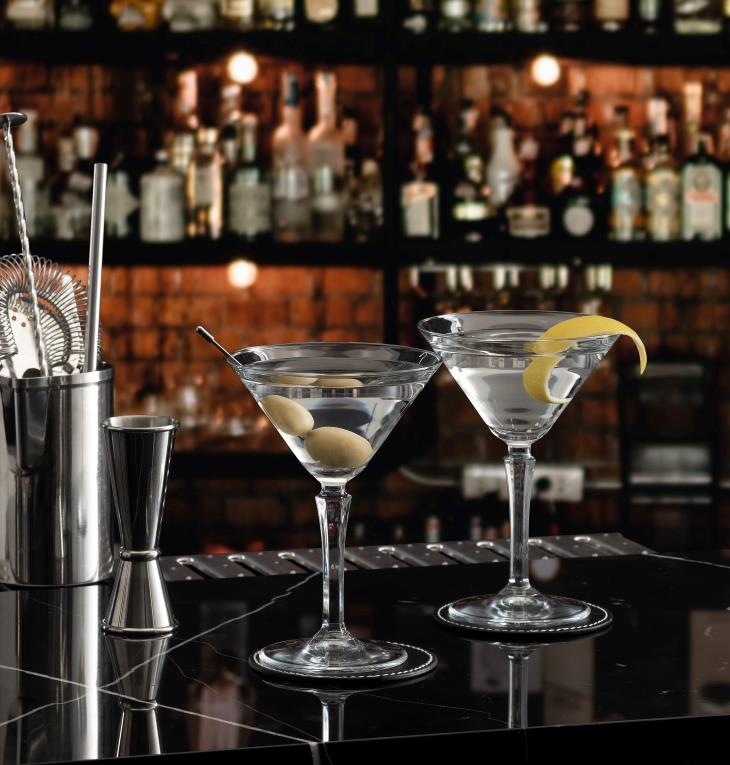 Hudson čaša za martini / 23cl / 6 kom