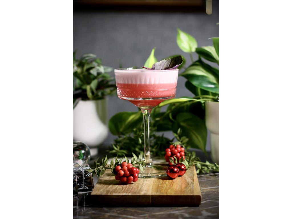 Elysia čaša coupe / 26cl / 4kom