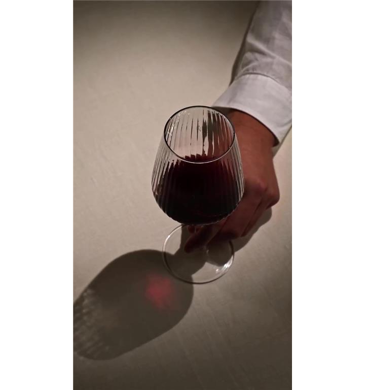 Allegra Focus čaša za vino / 49cl / 6kom