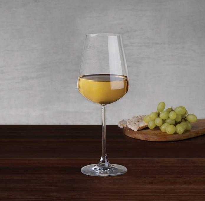 Salute časa za vino / 40cl / 6 kom